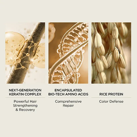 The image shows three golden-toned panels: a hair strand with molecular structures, a DNA helix, and rice grains, with the text Next-Generation Keratin Complex Powerful Hair Strengthening & Recovery, Encapsulated Bio-Tech Amino Acids Comprehensive Repair, and Rice Protein Color Defense.